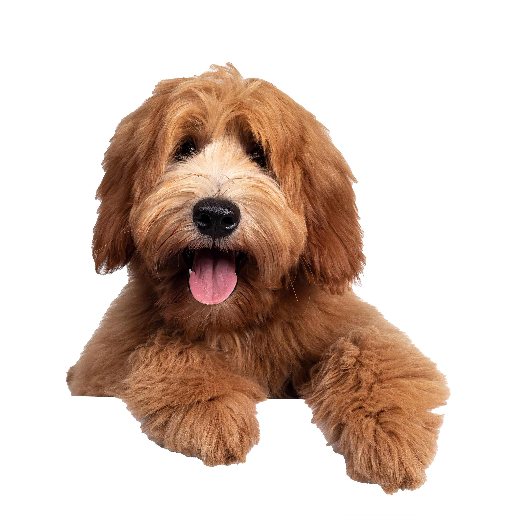 shutterstock_1635272725 (3)
